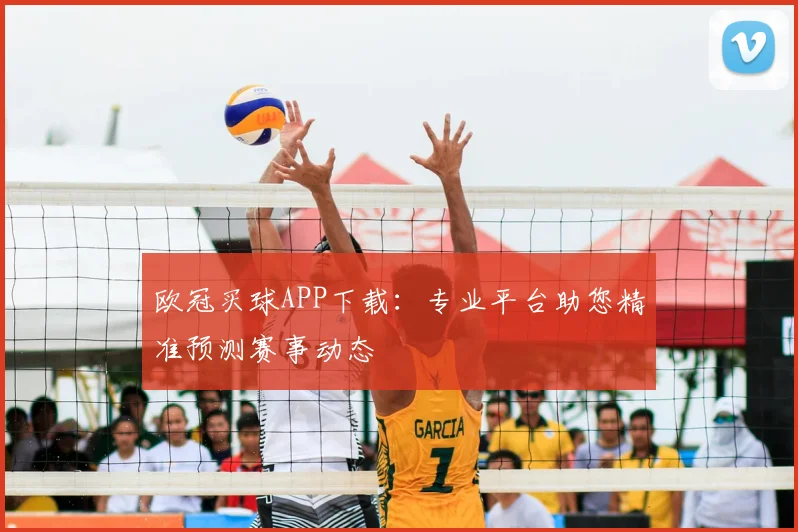 欧冠买球APP下载：专业平台助您精准预测赛事动态