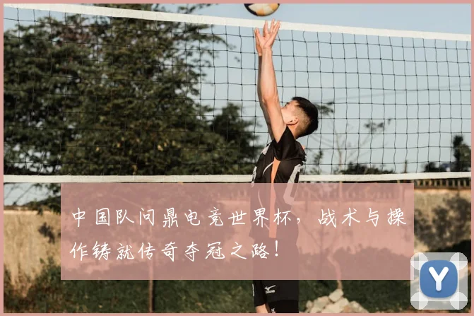 中国队问鼎电竞世界杯，战术与操作铸就传奇夺冠之路！