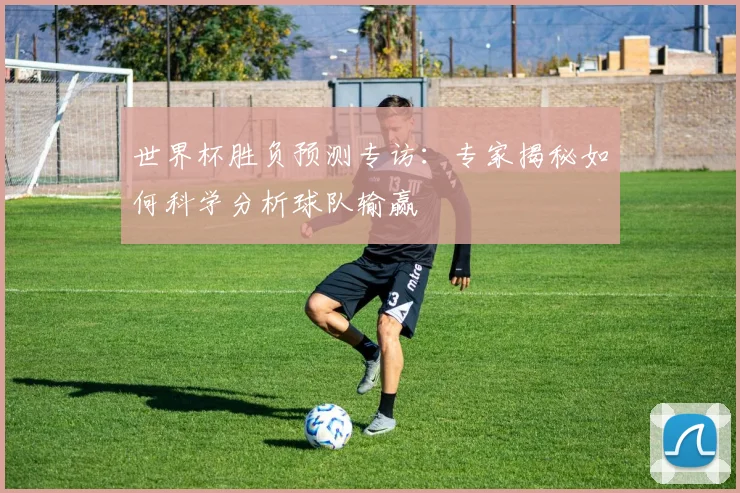 世界杯胜负预测专访：专家揭秘如何科学分析球队输赢