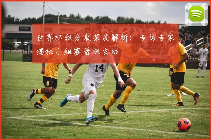 世界杯积分表深度解析：专访专家揭秘小组赛晋级玄机