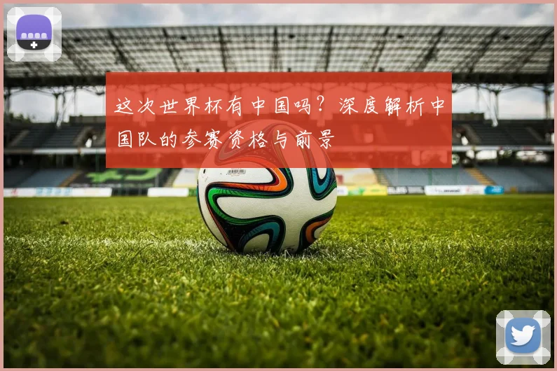 这次世界杯有中国吗？深度解析中国队的参赛资格与前景