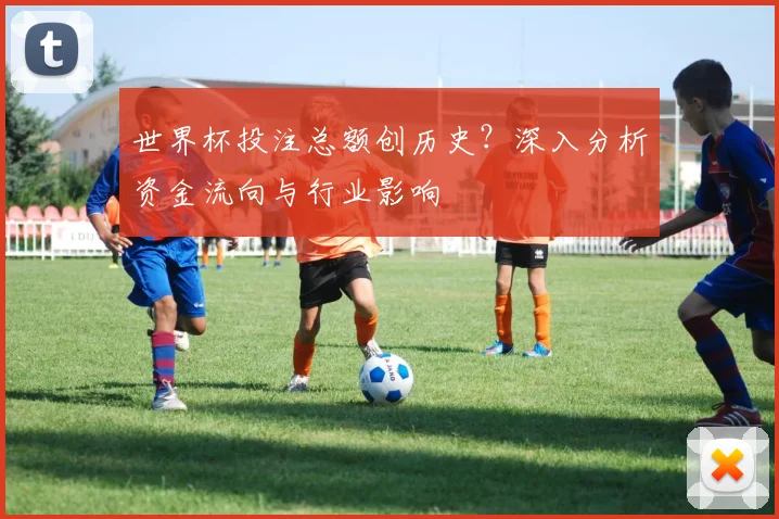 世界杯投注总额创历史？深入分析资金流向与行业影响