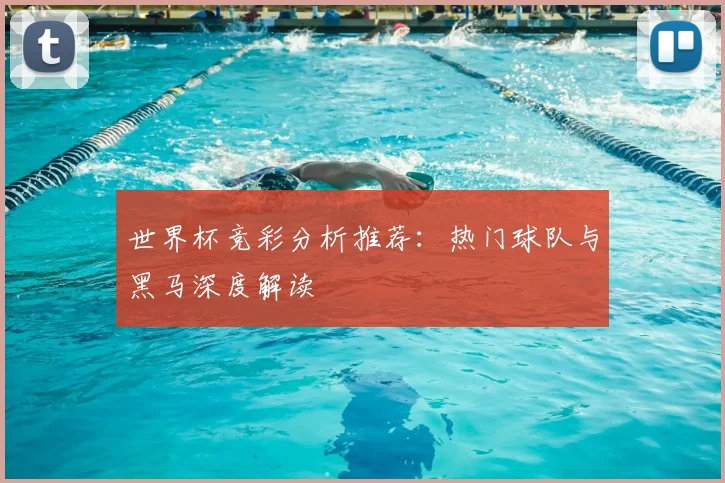 世界杯竞彩分析推荐：热门球队与黑马深度解读